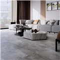 Gạch ốp lát Eurotile Đăng Sơn DAS Q01